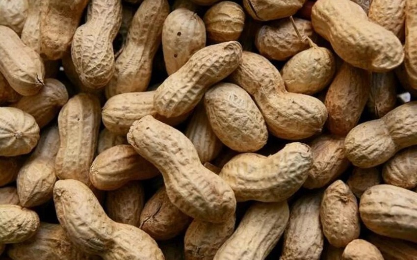 Azerbaijan begins importing peanuts from three more countries
