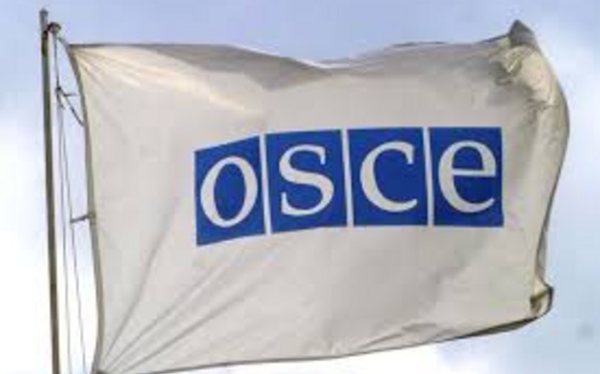 ОБСЕ выразило обеспокоенность попыткой госпереворота в Турции