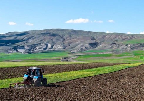 В Азербайджане почти на 5% вырастет финансирование агросектора