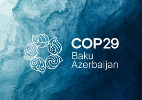 Глава ЮНЕП: На COP29 в Баку заложен фундамент, на котором мы будем отстраиваться