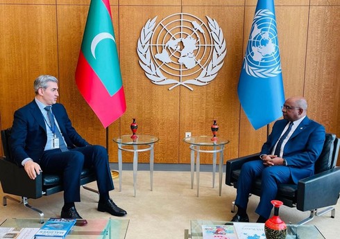 Генассамблея ООН высоко оценила работу в сфере миграции в Азербайджане