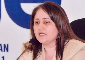 Deputy Chairman of Family, Women and Children Committee: 'Violence against women decreased'