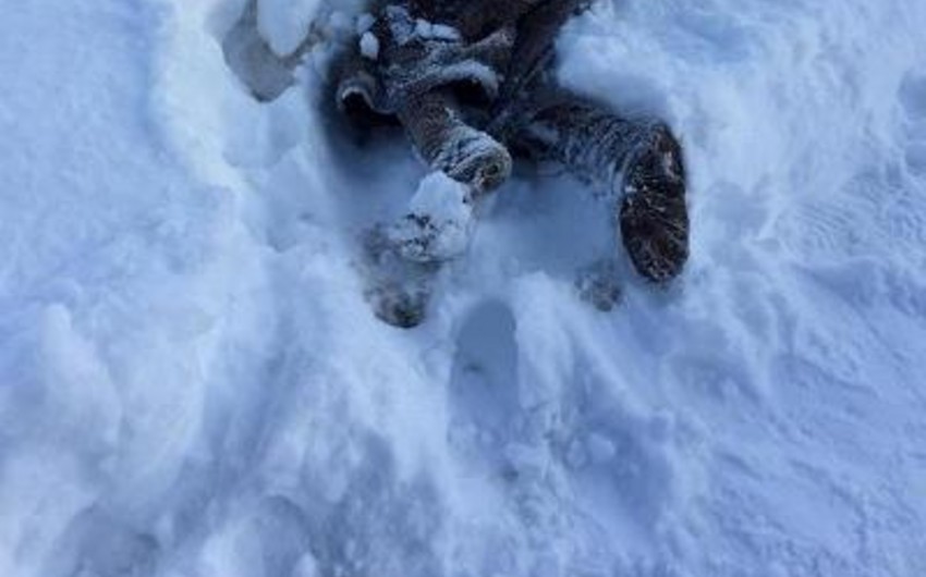 Пожилая женщина скончалась от обморожения в Армении