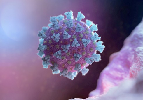 В Великобритании у 48 человек выявили новый штамм коронавируса
