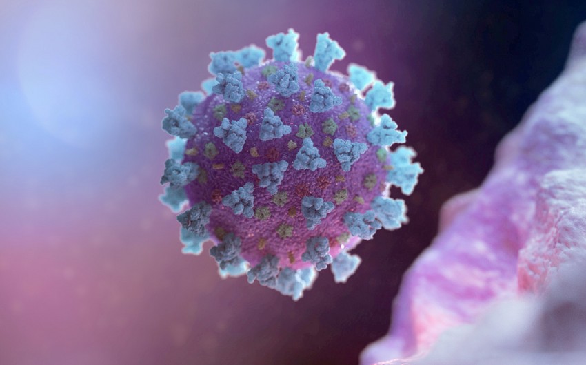 Böyük Britaniyada koronavirusun yeni mutasiyası 48 nəfərdə aşkarlanıb