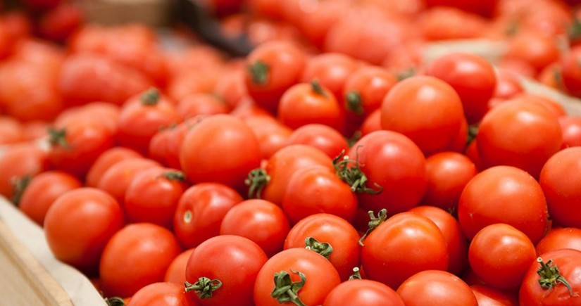 Azərbaycanın pomidor ixracından qazancı 22 % azalıb