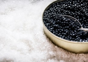 Azerbaijan starts caviar exports to two more countries