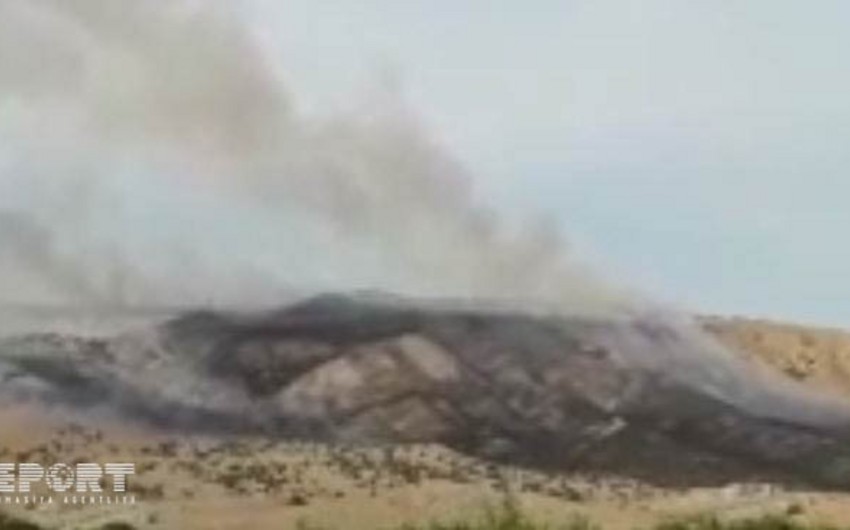 В Азербайджане произошёл пожар на пастбище - ФОТО