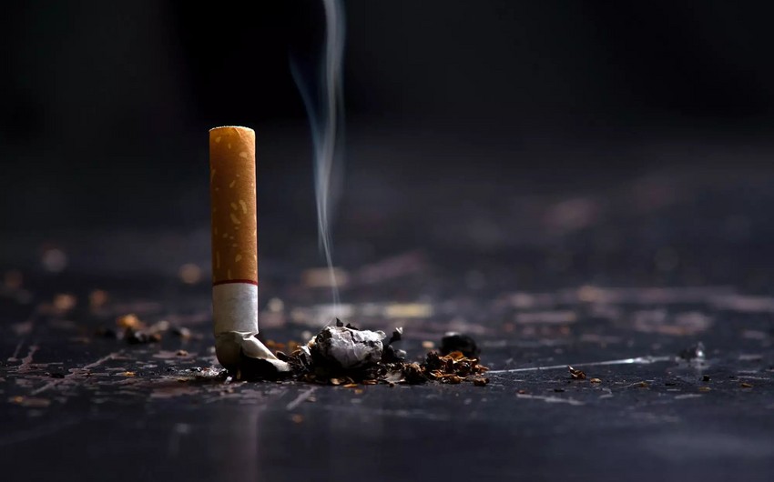 Azerbaijani president approves higher fines for tobacco waste disposal