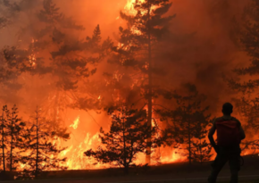 Wildfires cover almost 1 million hectares in Russia’s Yakutia