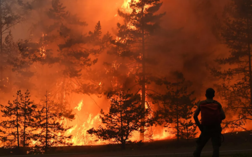 Wildfires cover almost 1 million hectares in Russia’s Yakutia