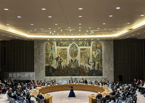 Совбез ООН принял резолюцию с призывом к гуманитарному прекращению огня на Ближнем Востоке