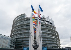 EU Council, European Parliament to moot Navalny's arrest