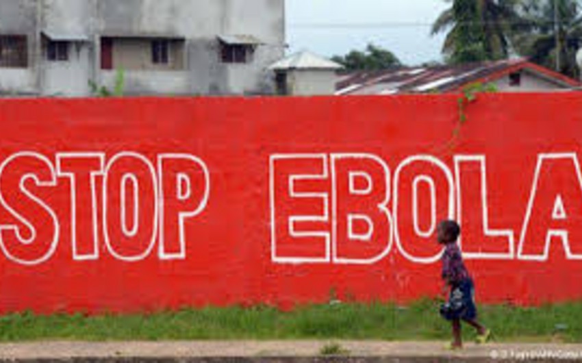 Всемирный банк призывает мир объединится против эпидемий