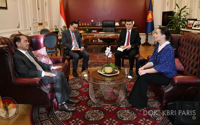 Ambassadors of Azerbaijan, Indonesia meet in France
