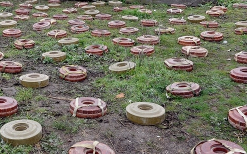 2,800 mines found on Azerbaijan’s state border sections liberated from occupation