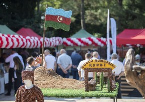 В Закатале проходит ярмарка фундука