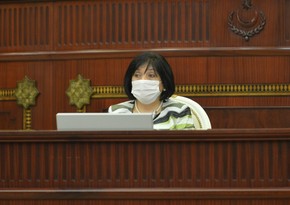 Speaker: Mehriban Aliyeva improves legislative base