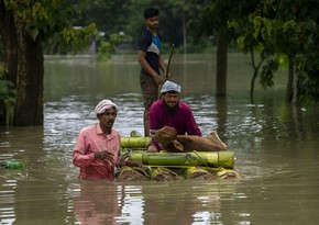 India's Assam flood: Death toll reaches 71