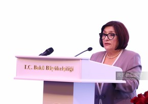 Sahibə Qafarova: Türkiyə ilə birgə layihələr regionda sülhə və sabitliyə xidmət edir