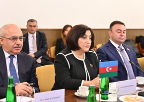 Сахиба Гафарова проинформировала чешских депутатов о мирных инициативах Азербайджана
