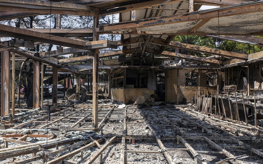 Yunanıstanda meşə yanğınları nəticəsində 93 nəfər ölüb