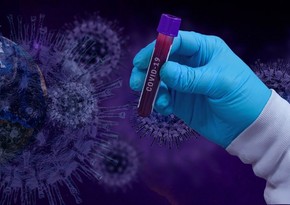 Еще в одной стране выявили первые случаи британского коронавируса 