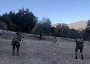В Турции проходят совместные учения военнослужащих стран-членов ОТГ