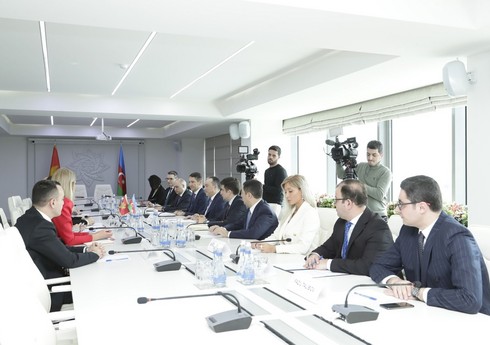 Азербайджан и Черногория договорились о сотрудничестве в сфере труда, занятости и социальной защиты