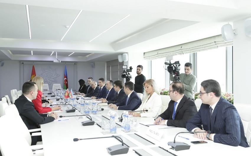 Азербайджан и Черногория договорились о сотрудничестве в сфере труда, занятости и социальной защиты