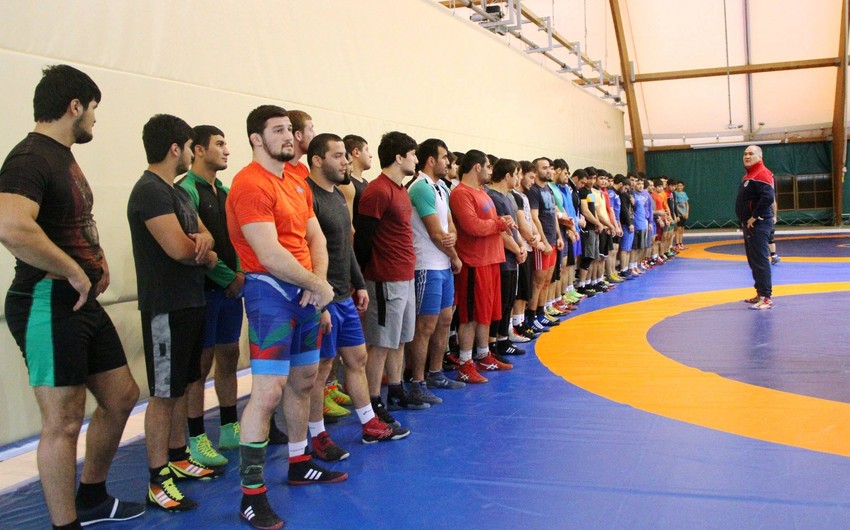 Azerbaijani leading freestyle wrestlers not to compete at Golden Grand Prix finals