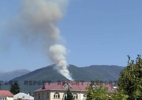 Wildfire in highlands of Azerbaijan's Zagatala district covers 10 hectares