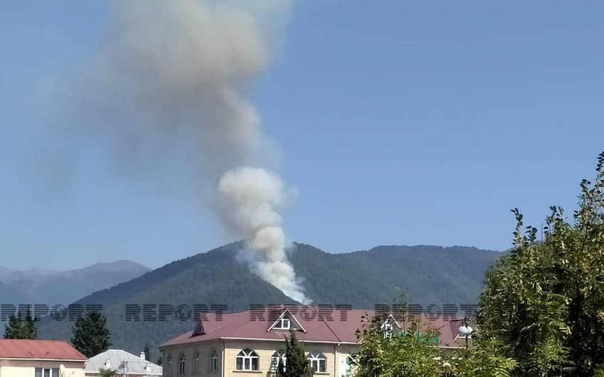 Пожар в горно-лесистой местности в Загатале охватил площадь в 10 гектаров