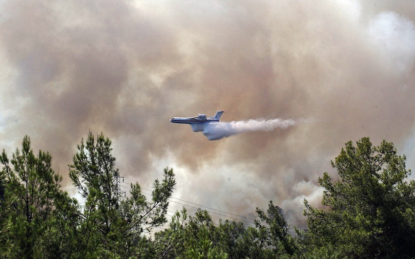 Turkey brings 119 massive forest fires under control  