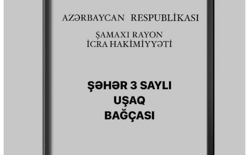 В Шамахы заведующая детсадом и повар наказаны за грубое обращение с ребенком