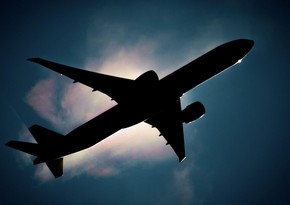 Дебошир попытался открыть дверь самолета, летевшего из Еревана в Москву