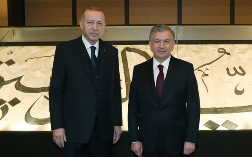Heads of Turkey and Uzbekistan mull bilateral relations