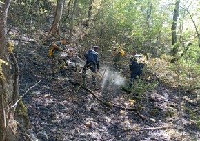 All wildfires completely extinguished in northern region of Azerbaijan