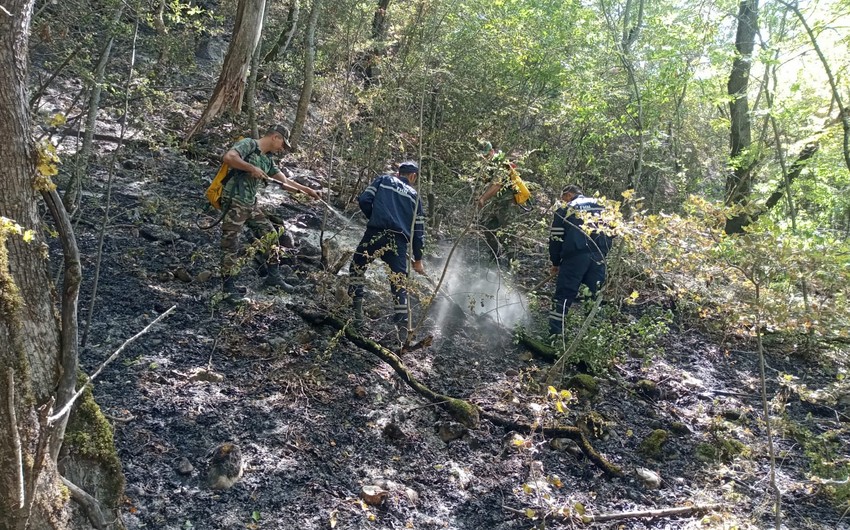 All wildfires completely extinguished in northern region of Azerbaijan