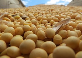 Azerbaijan more than doubles soybean imports from Austria
