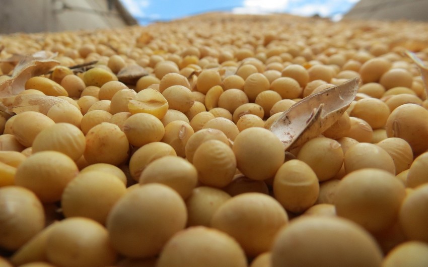 Azerbaijan more than doubles soybean imports from Austria