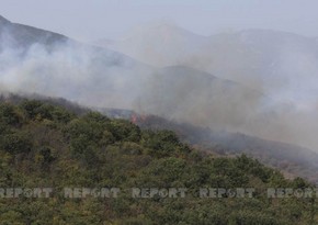 10,900 blazes have occurred in Azerbaijan this year, general says
