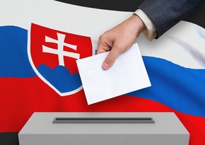   В Словакии проходит референдум о досрочных парламентских выборах