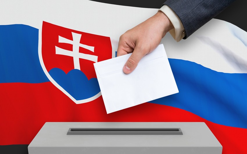   В Словакии проходит референдум о досрочных парламентских выборах