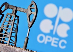 OPEC+ ignores US calls, continues to increase output