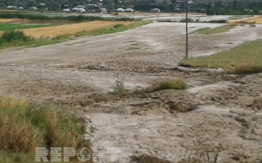 ​İsmayıllı və Göyçay rayonunun bir neçə kəndini sel suları basıb - FOTO