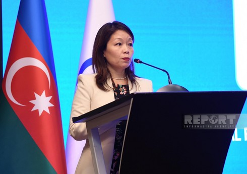 ООН заявил о продолжении поддержки Азербайджана в области разминирования