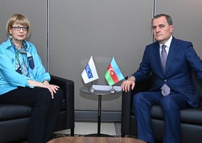 Azerbaijani Foreign Minister meets with OSCE Secretary General