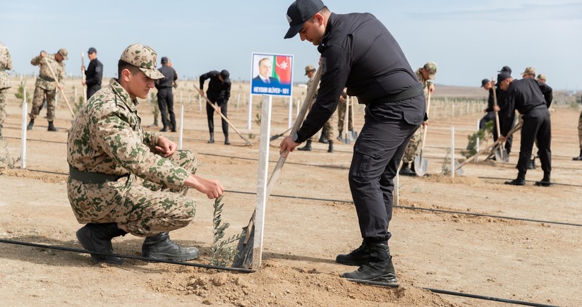 Сотрудники МВД провели акцию по посадке деревьев по случаю 101-й годовщины со дня рождения Гейдара Алиева