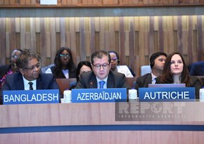 Elman Abdullayev presents Azerbaijan’s statement at UNESCO session